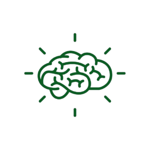 Améliore les fonctions cognitives et intellectuelles.